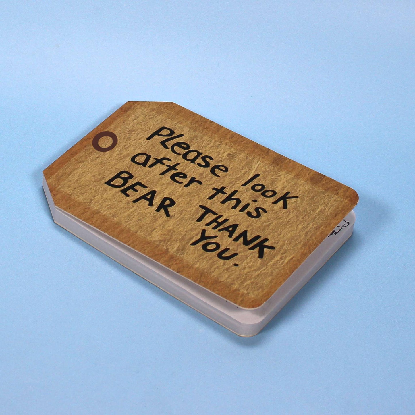 Paddington Bear Lost Ticket Notebook