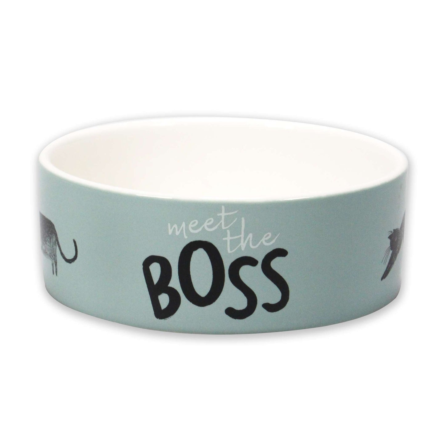 Ceramic Cat Bowl Pets