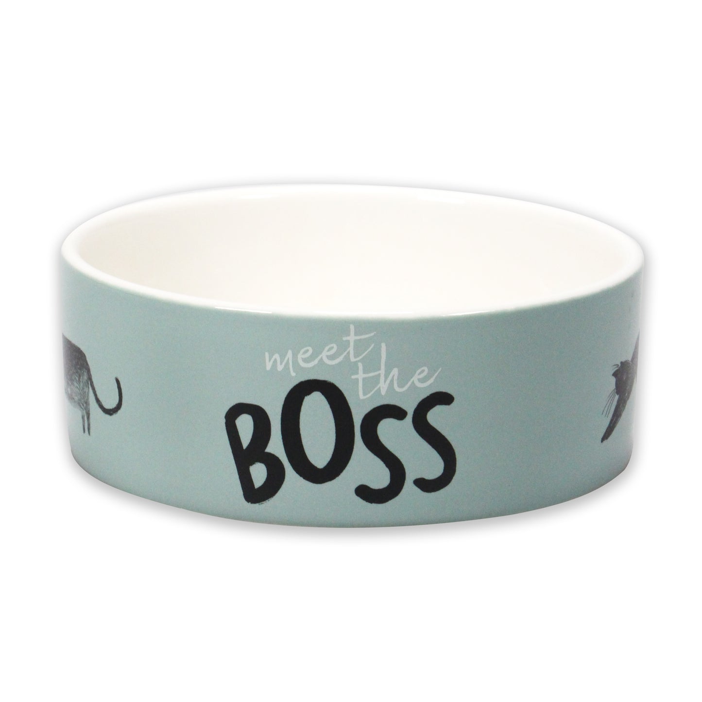 Ceramic Cat Bowl Pets