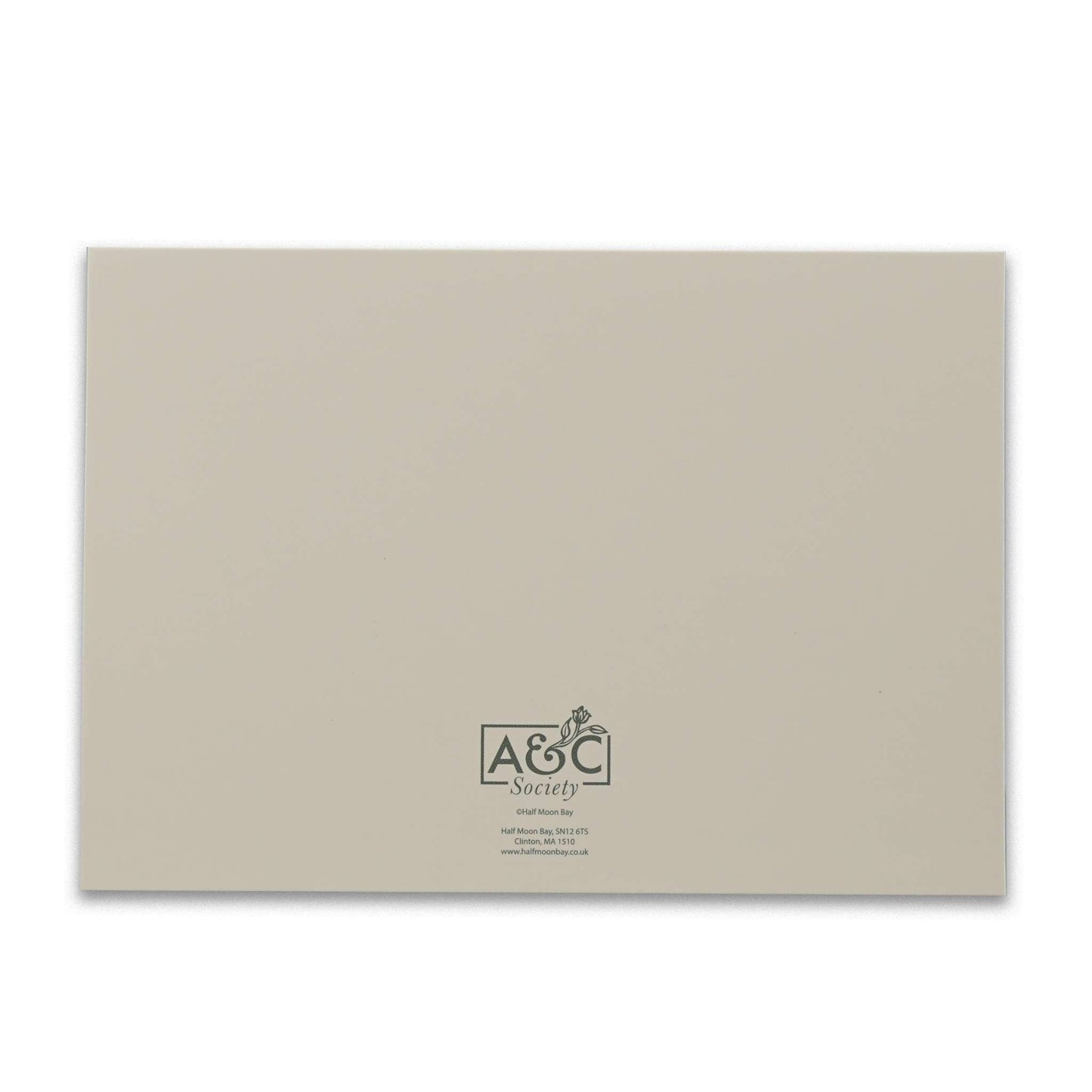 Vintage Botanical Boxed Note Cards - Set of 12