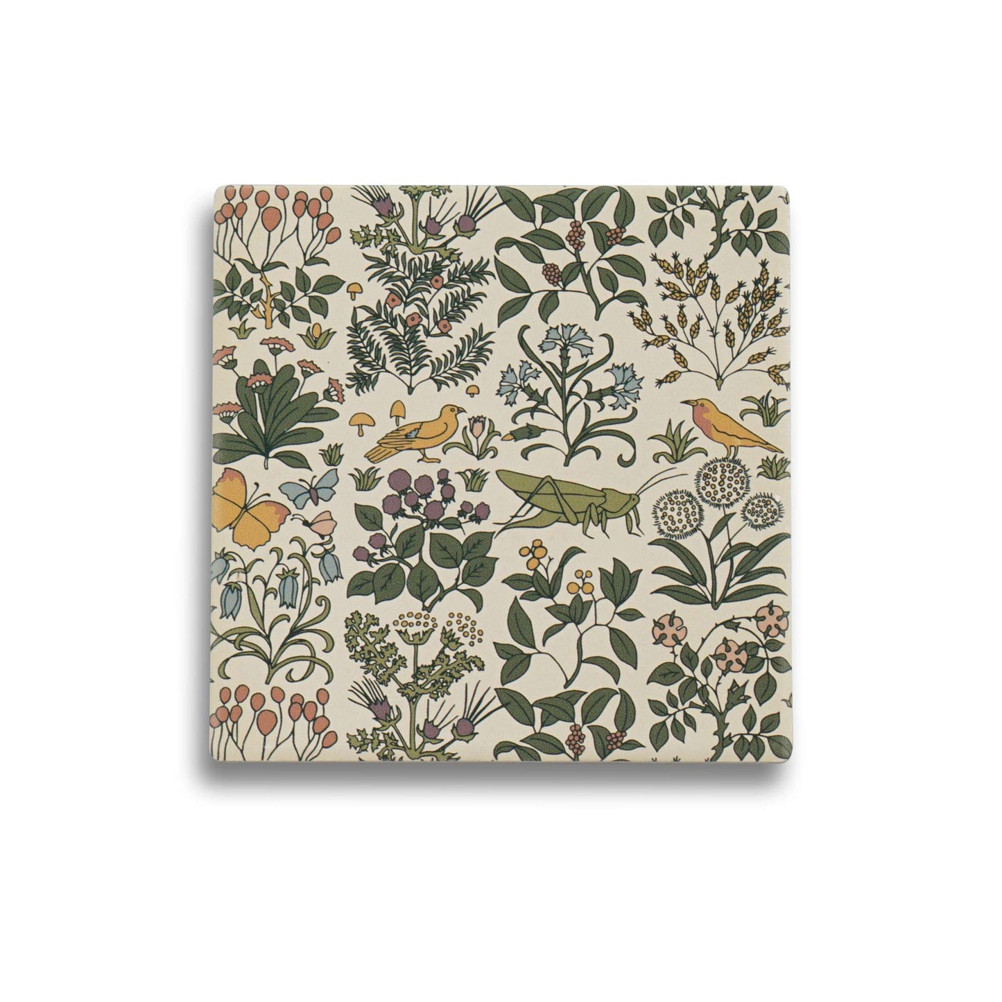 Vintage Botanical Coasters – Apothecary Garden