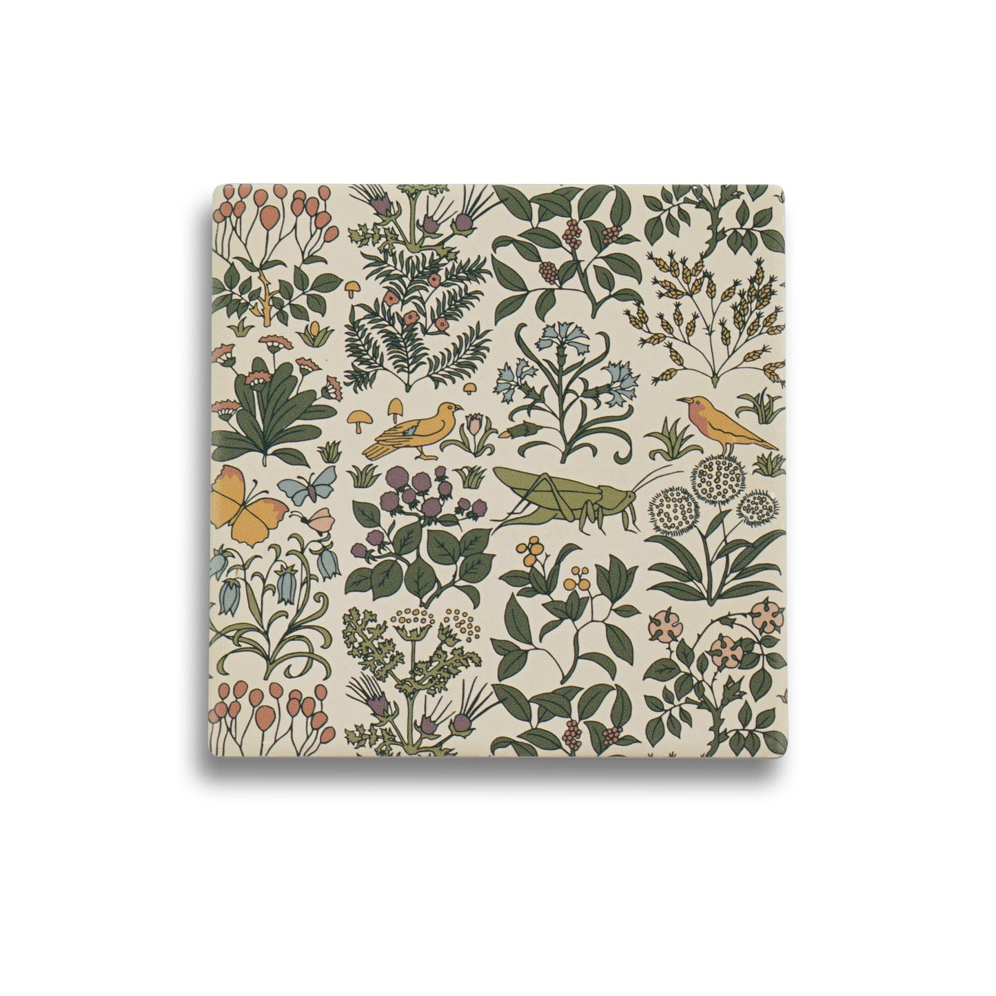 Vintage Botanical Coasters – Apothecary Garden