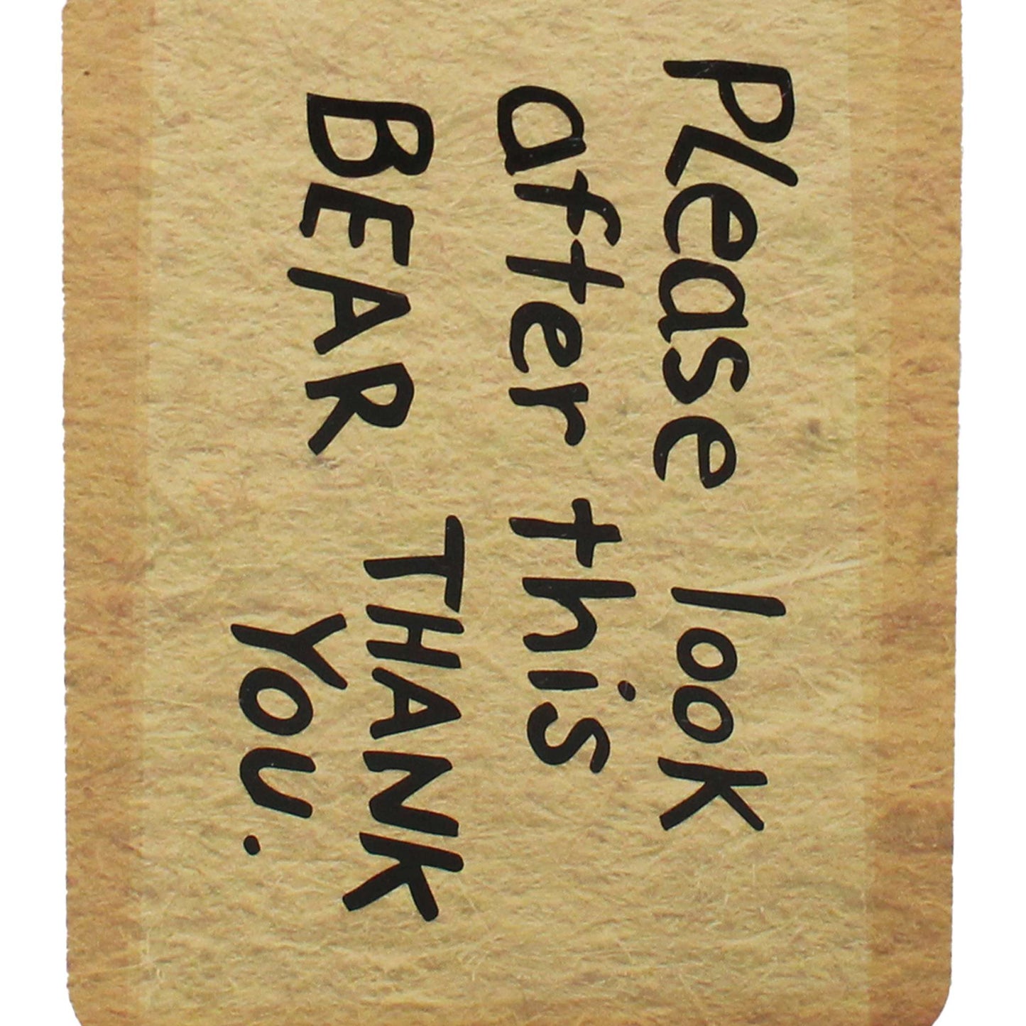 Paddington Bear Lost Ticket Notebook