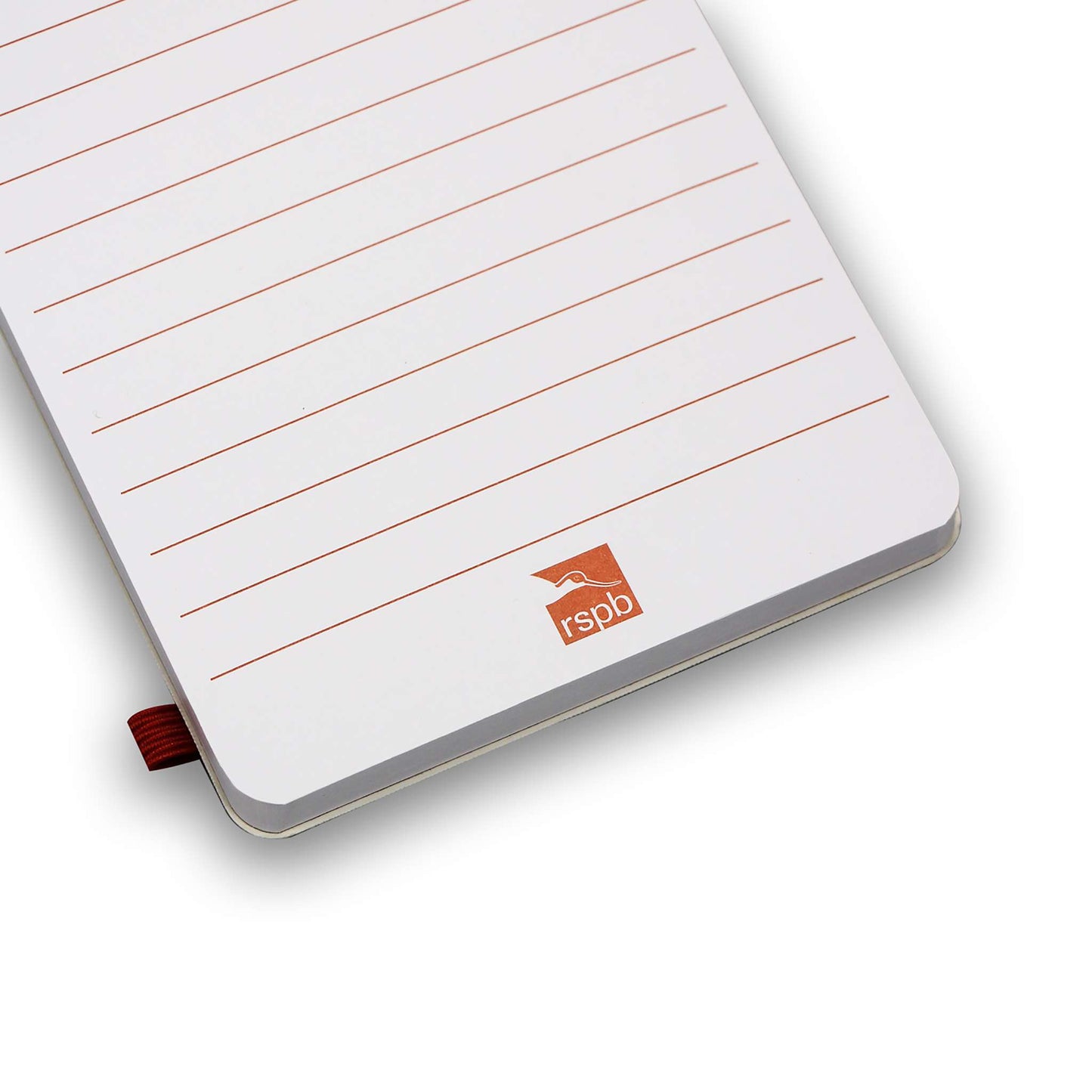 Notebook Bird Watching Bird Spotter Garden Birds
