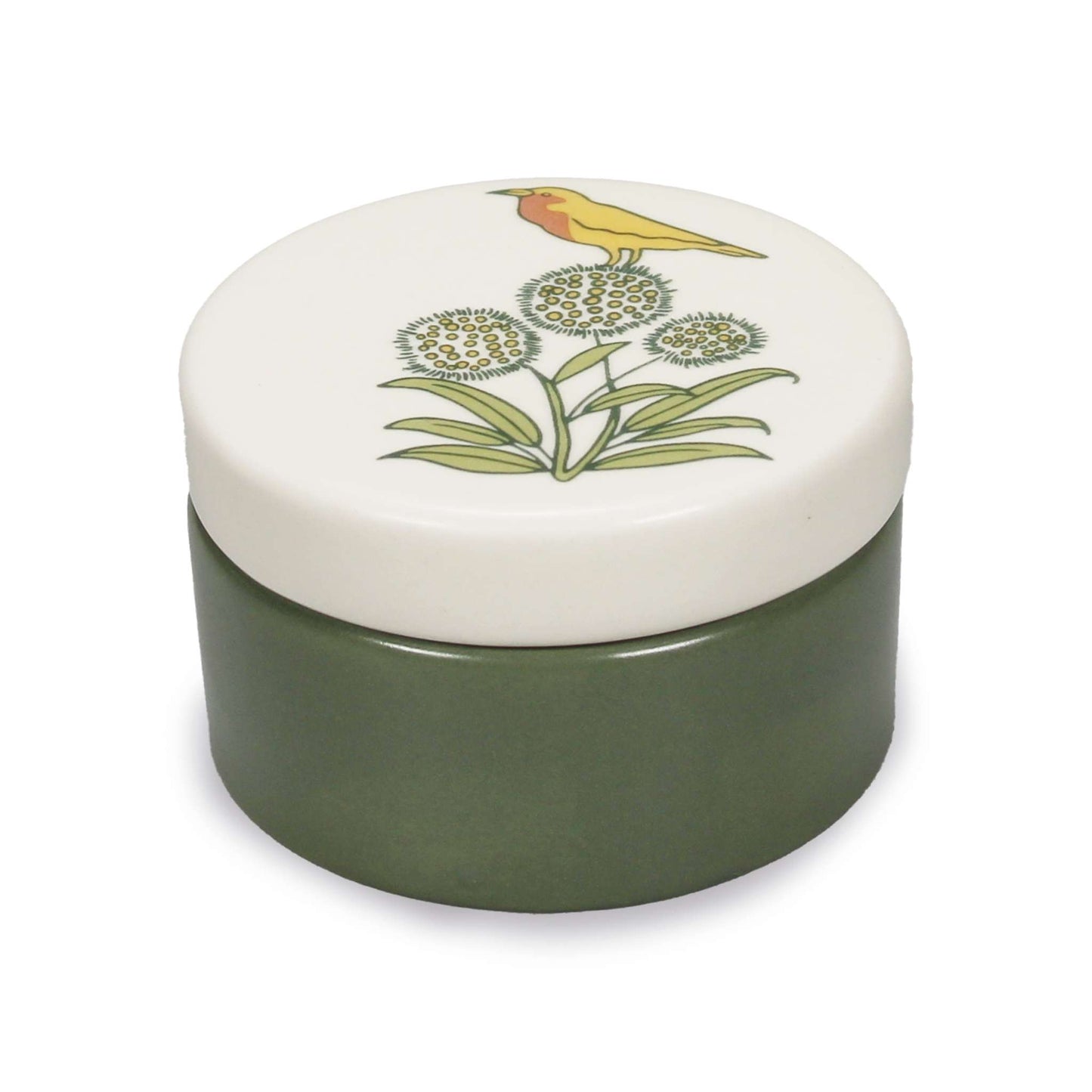 Vintage Botanical Trinket Box – Apothecary Garden