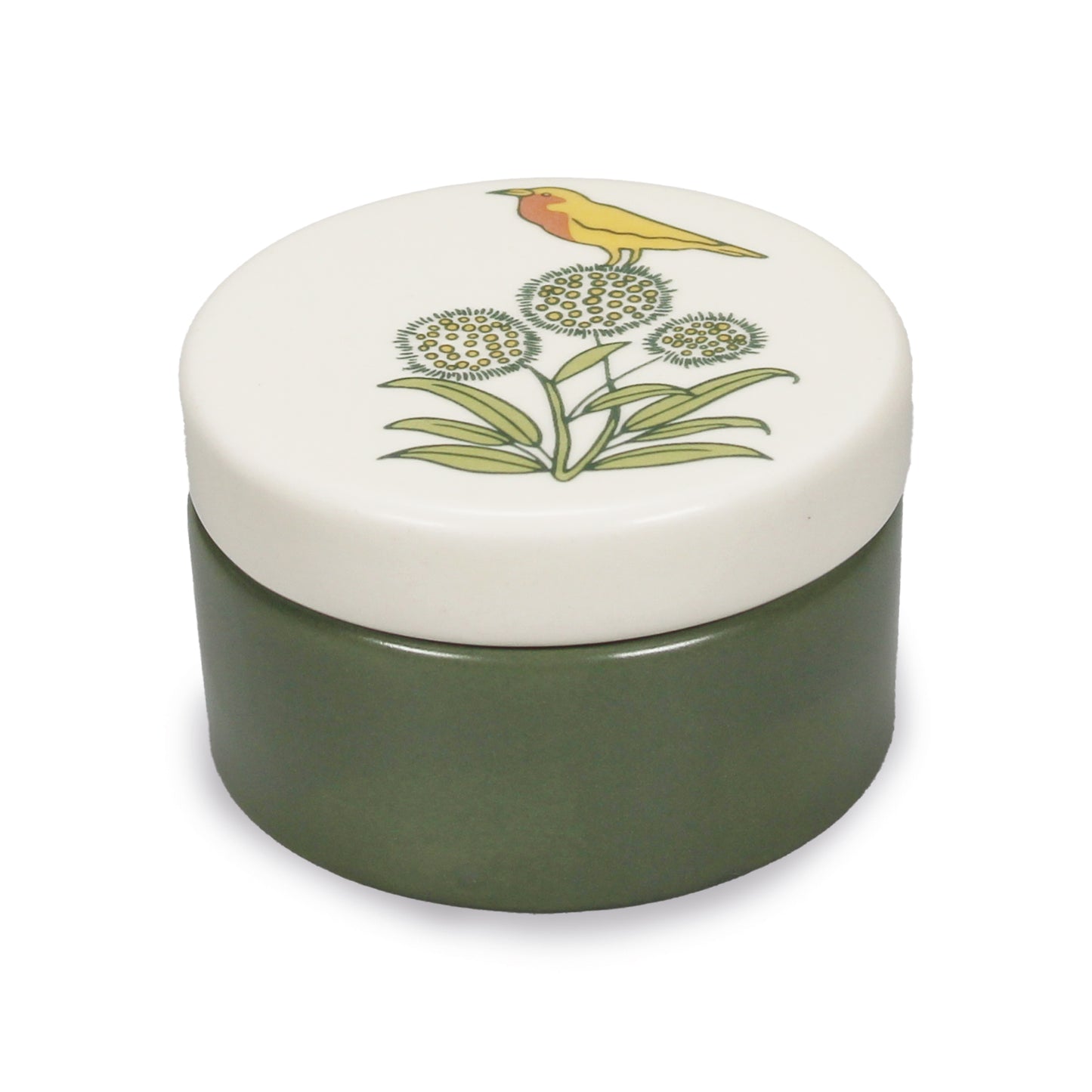 Vintage Botanical Trinket Box – Apothecary Garden