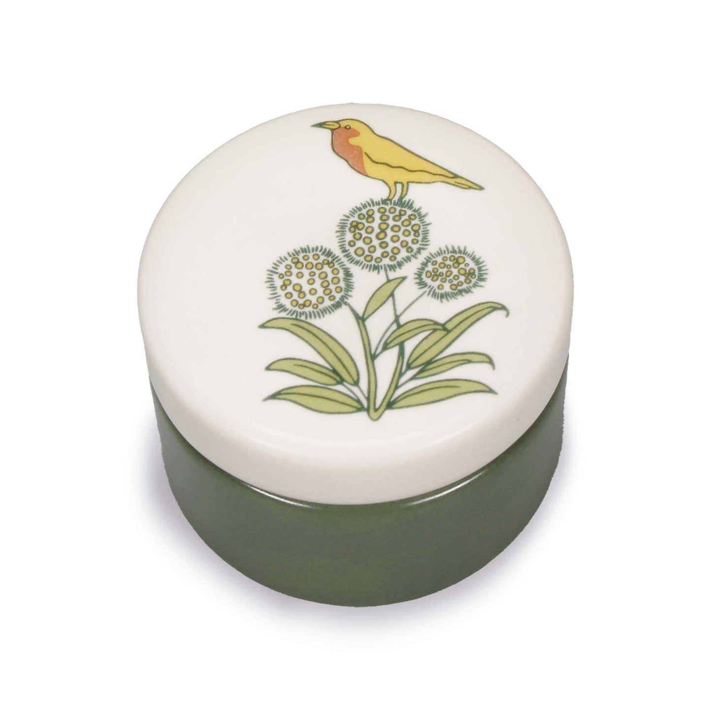 Vintage Botanical Trinket Box – Apothecary Garden